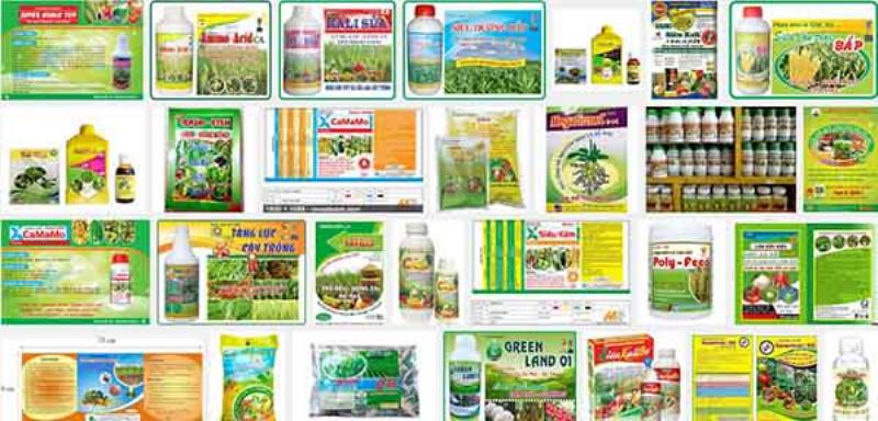 Minh hoa cach bon phan hoa hoc dung ky thuat gan goc hoac hoa tan de tuoi cay